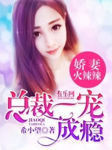 我老婆是导演破解版本