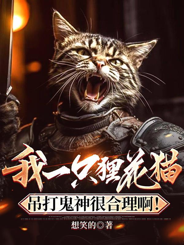 狸花猫攻击性太强怎么办